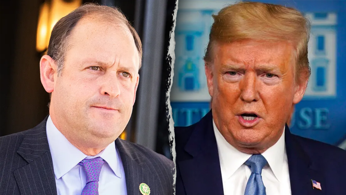 Legislation to permanently eliminate birthright citizenship presented during Trump conflict