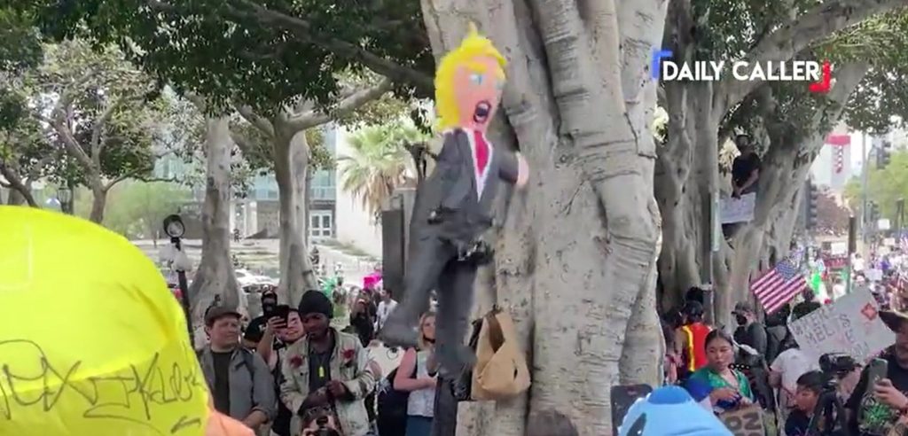 Liberals compel young kids to take part in aggressive, crude protests against Trump