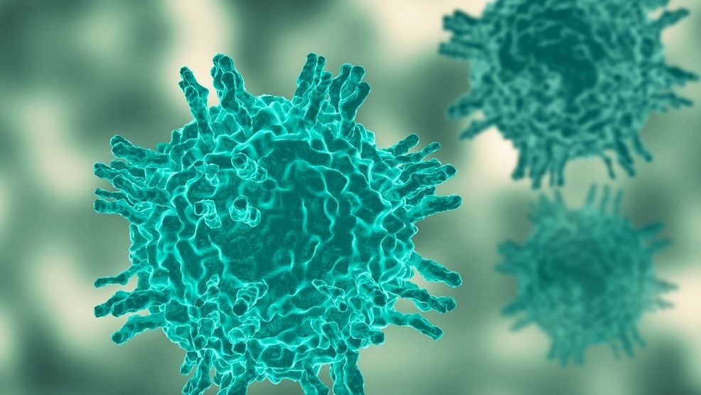 Locations shared following confirmation of the second measles case in Grand Traverse County