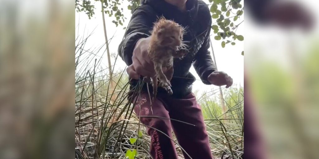 Man Listens to Cries During Hailstorm — Then Rescues an Entire Family