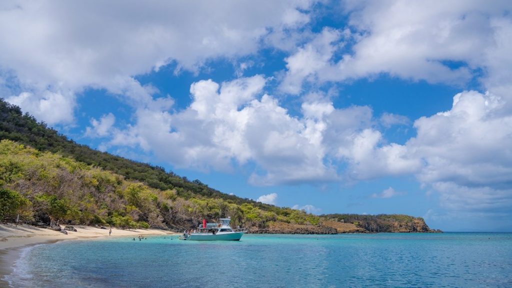 Marshals capture suspect sought for killing a family's four members in New York.