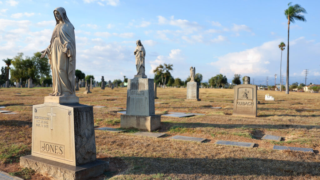 Medicaid reductions may lead to over 16,000 avoidable deaths each year.