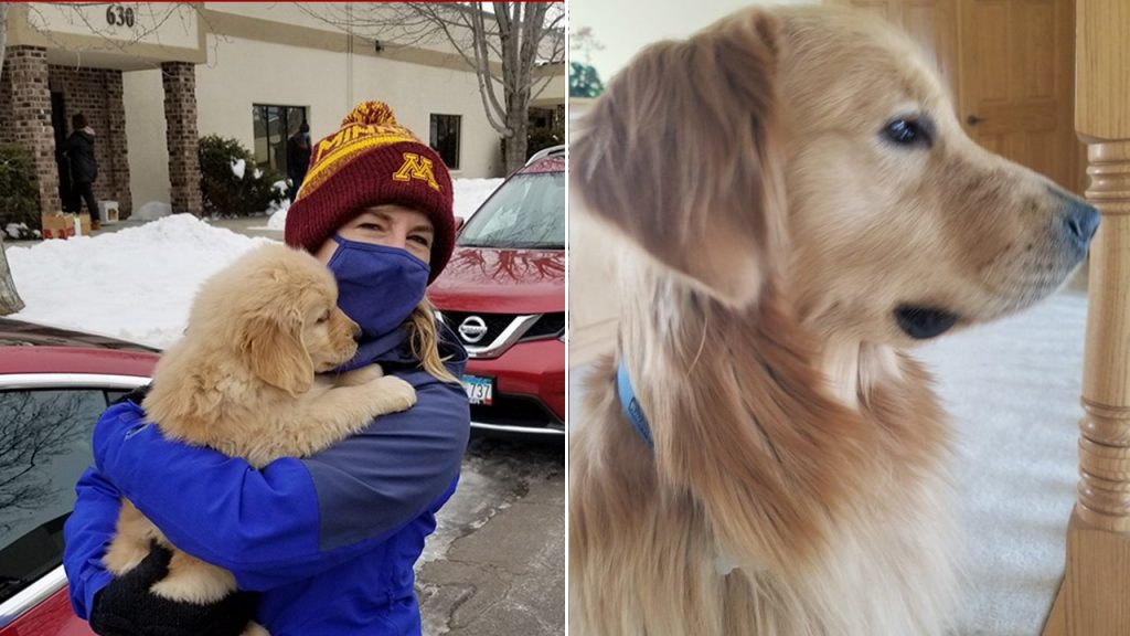 Minnesota lawmaker's rescue dog Gilbert put down following family tragedy