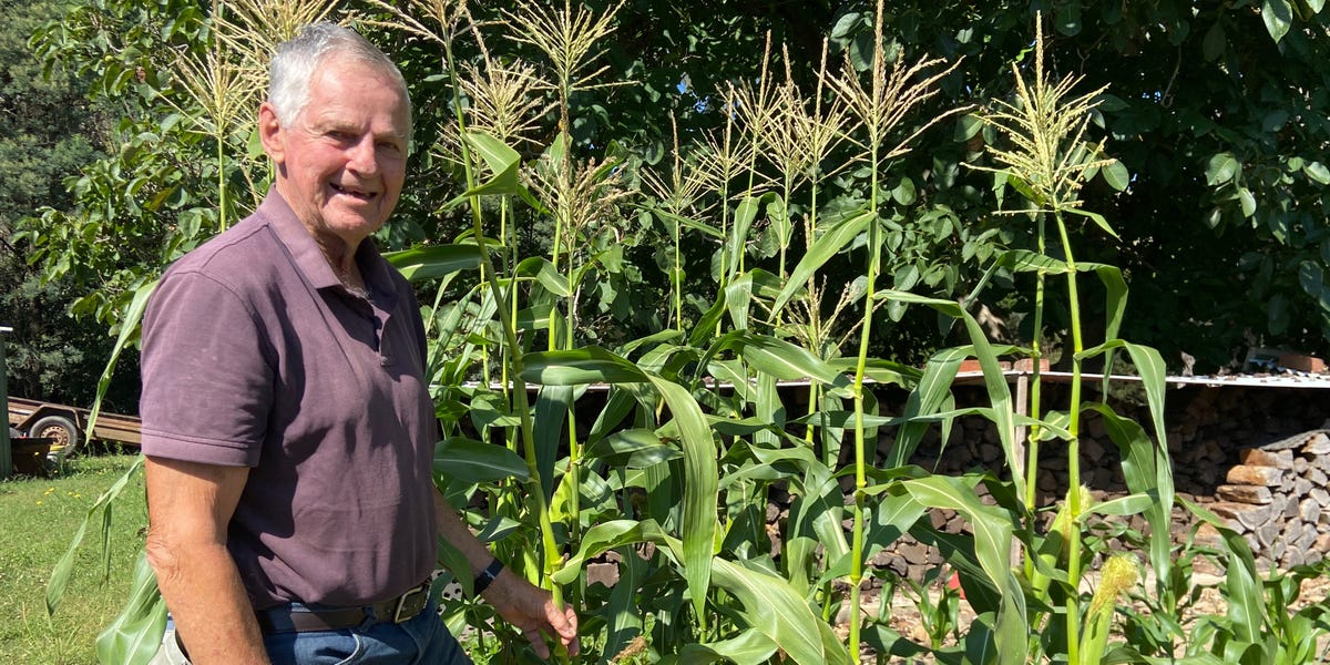 My father-in-law retired at 55 and is now 86. His successful early retirement has taught me four lessons I intend to apply.