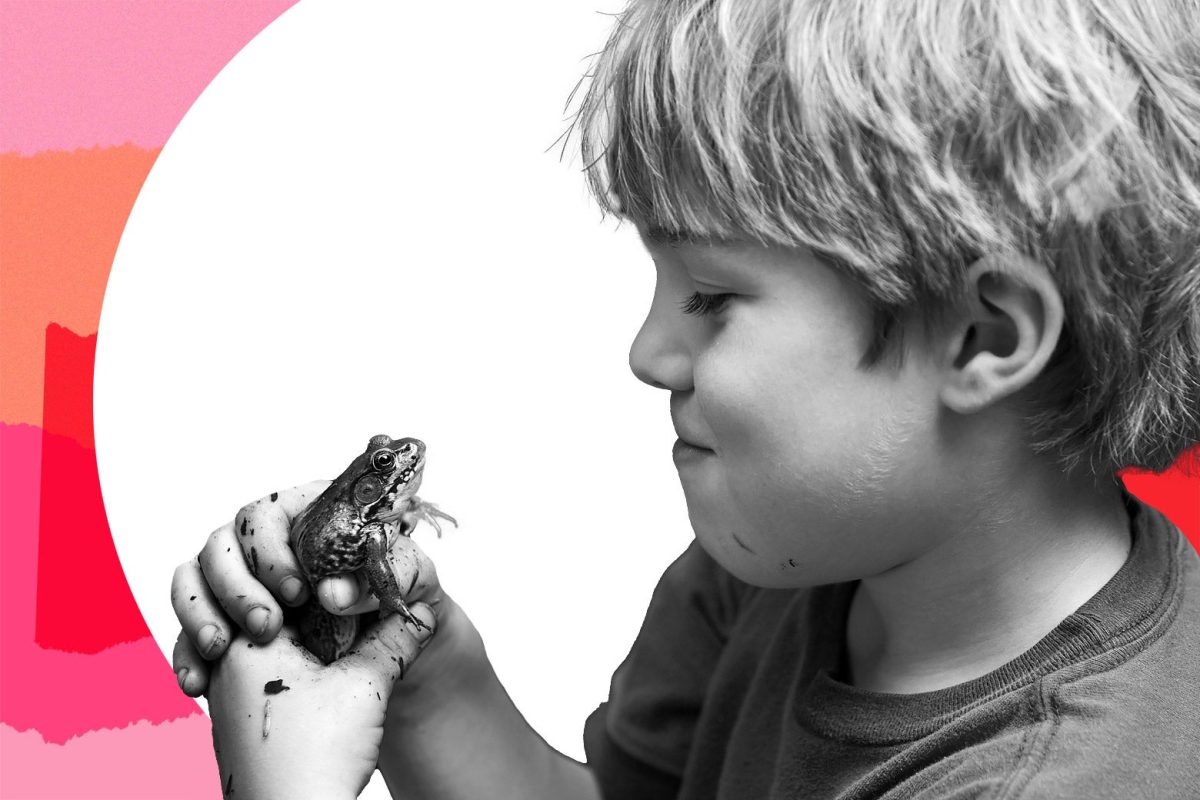 My son was involved in a mean prank on a frog. My wife is behaving as if it's a major disaster.