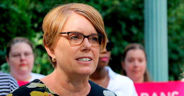 NC Democrat Lawmaker Julie von Haefen Shares Disturbing Image of Trump’s Severed Head Next to Guillotine