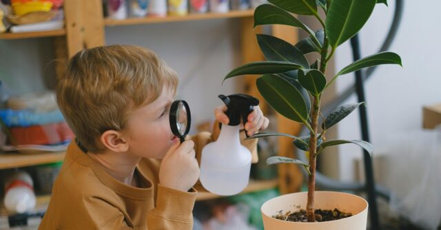 NJ to Weigh Legislation Requiring Oversight of Homeschooling Families