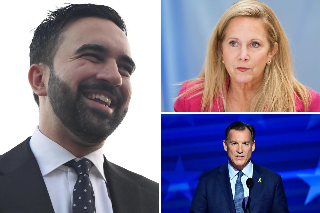 NY Democratic Representatives Suozzi and Gillen separate themselves from socialist NYC mayoral candidate Zohran Mamdani