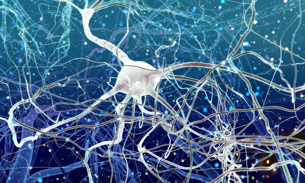 New map of the brain's mitochondria could shed light on cognitive decline