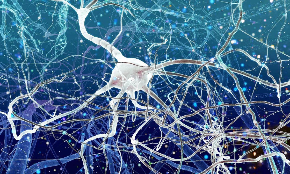 New map of the brain's mitochondria could shed light on cognitive decline