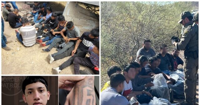 No Migrants Entered U.S. After Illegally Crossing Border in May - Arrests Fell by 93 Percent