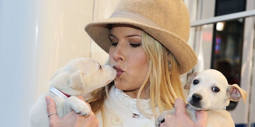 Not without my pet! Our strange new faith in dog worship