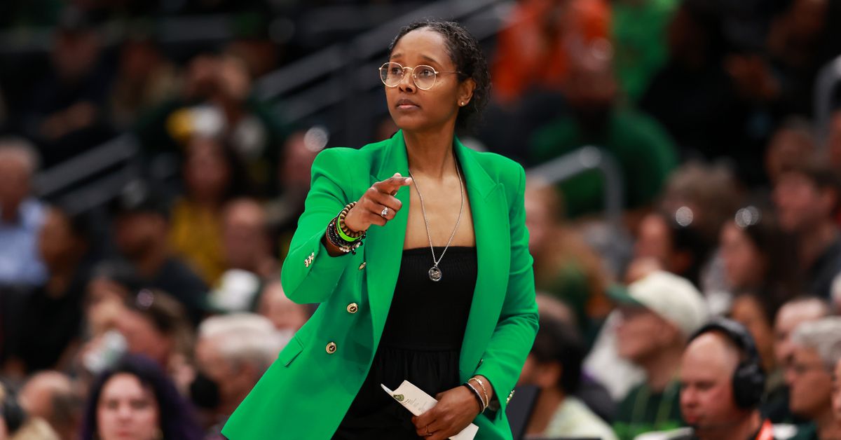 One WNBA team's coaching staff is being looked into again this year.