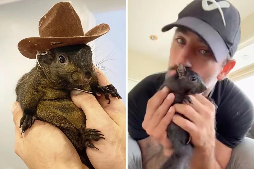 P'Nut the Squirrel has been put to death