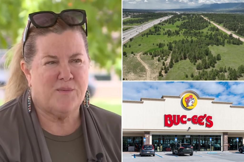 Palmer Lake Mayor Glant Havenar steps down after labeling opponents of the Buc-ee's project as 'terrorists'