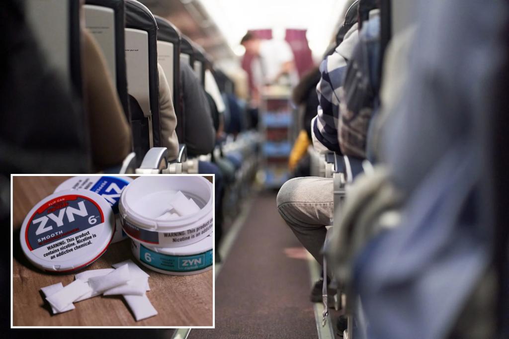 Passenger asked to discard Zyn packet by flight attendant leading to discussion on Reddit
