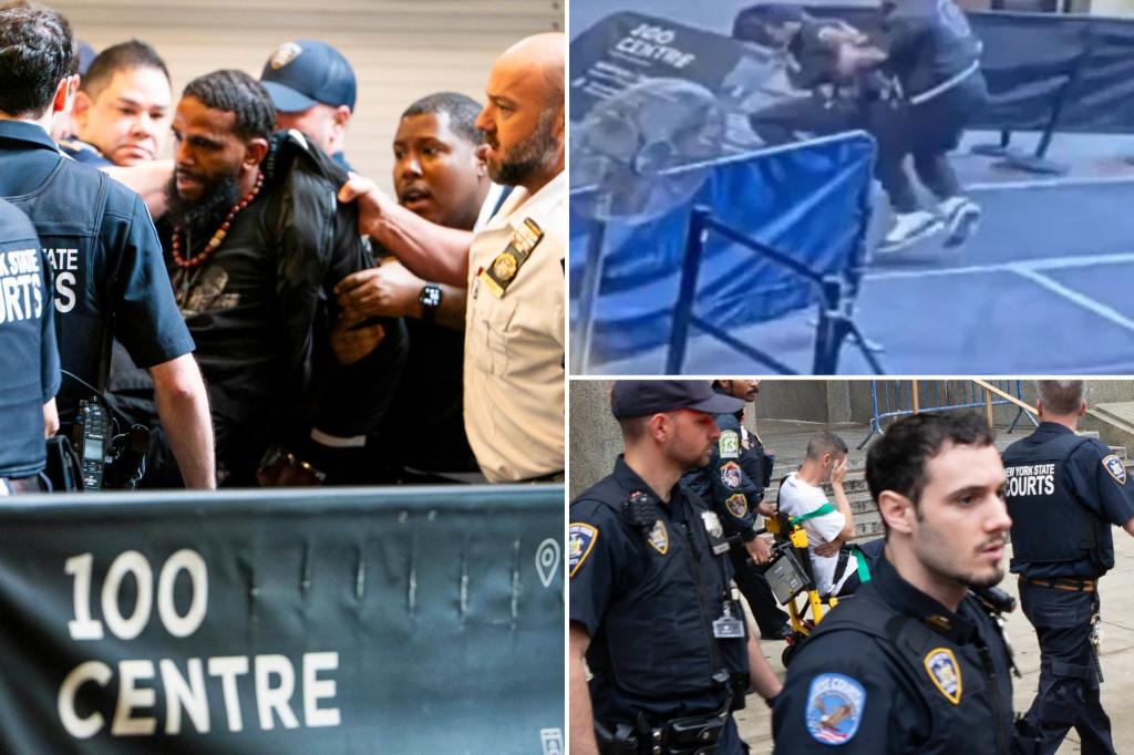 Person who assaulted court officers frequently aimed at NYPD: sources