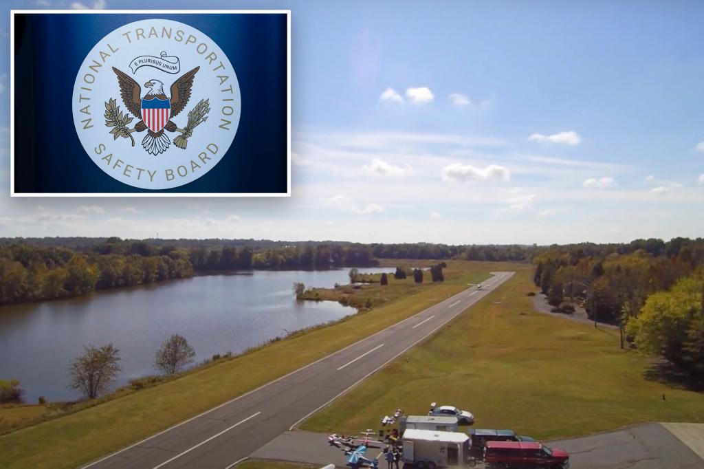 Pilot in fatal crash attempted to avoid turtle on runway in North Carolina, NTSB discovers
