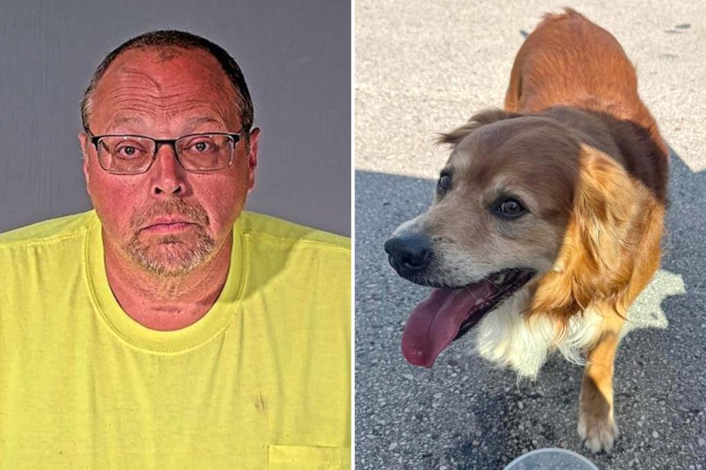 Politician in Wisconsin accused of strangling lost golden retriever while a good Samaritan observed in shock