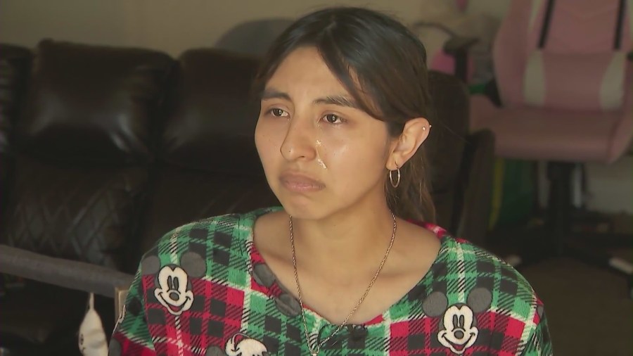 Pregnant American woman held by Border Patrol agents: 'We didn't do anything wrong'