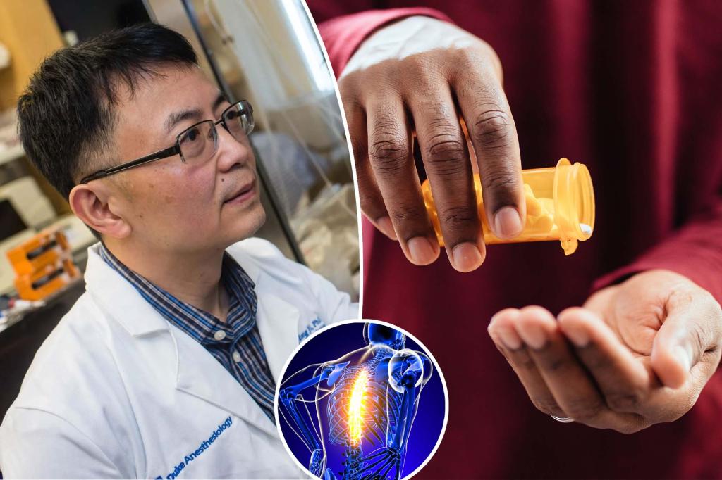 Promising results from a new non-opioid painkiller