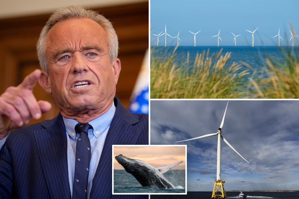 RFK Jr. criticizes offshore wind farms for their negative impact on marine life while advocating for whales and ostriches, stating they are not economically sensible.