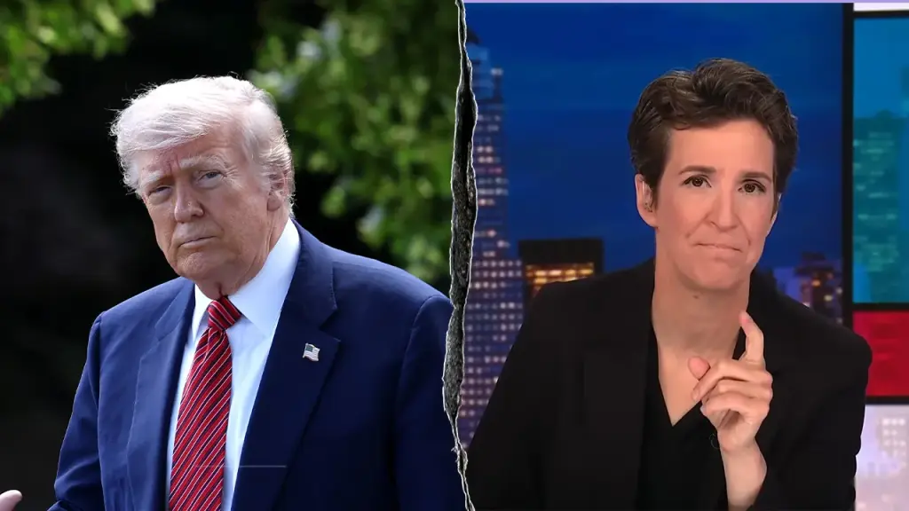 Rachel Maddow says Trump is 'worried' about protests and highlights the anti-Trump movement.