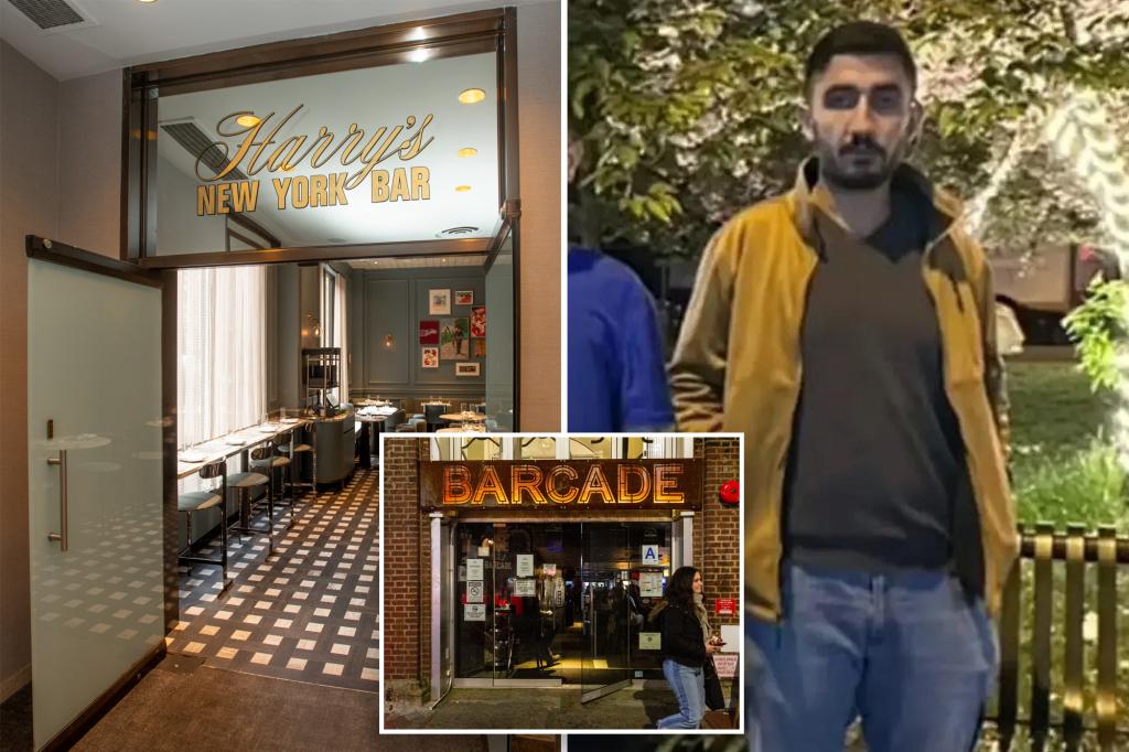 Relatives of Turkish immigrant who died in DWI accident file lawsuit against NYC bars