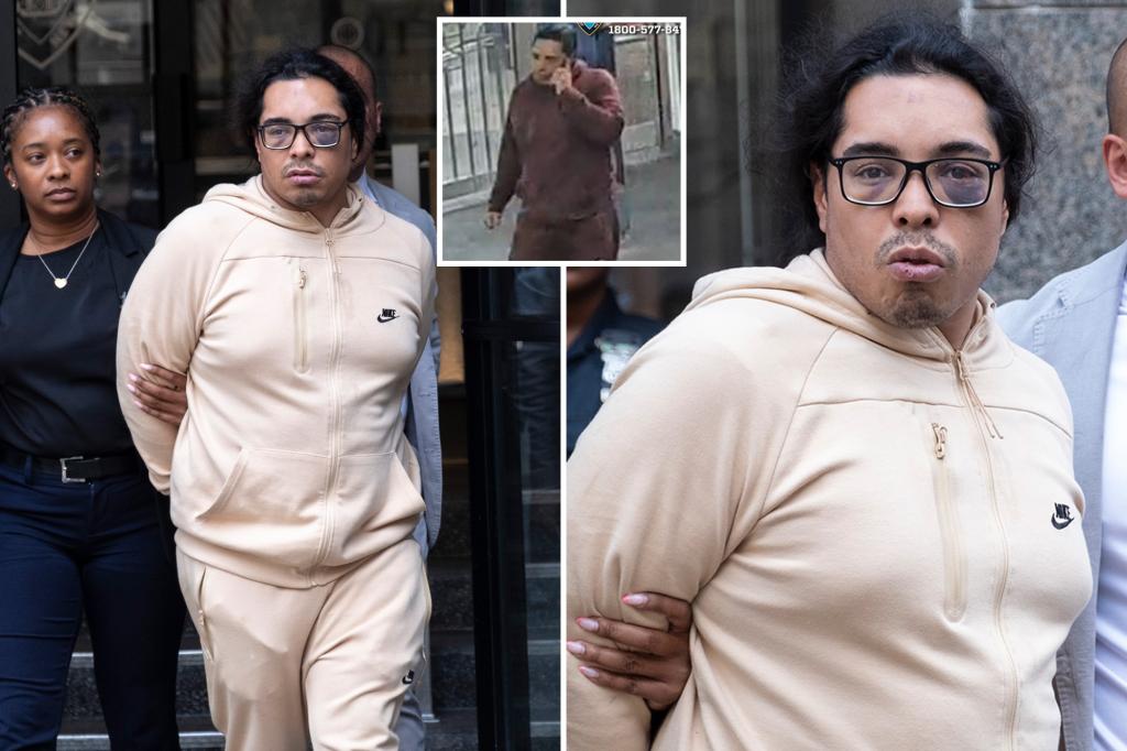 Repeat offender in NYC arrested for attempting to kiss a woman's feet on the subway.