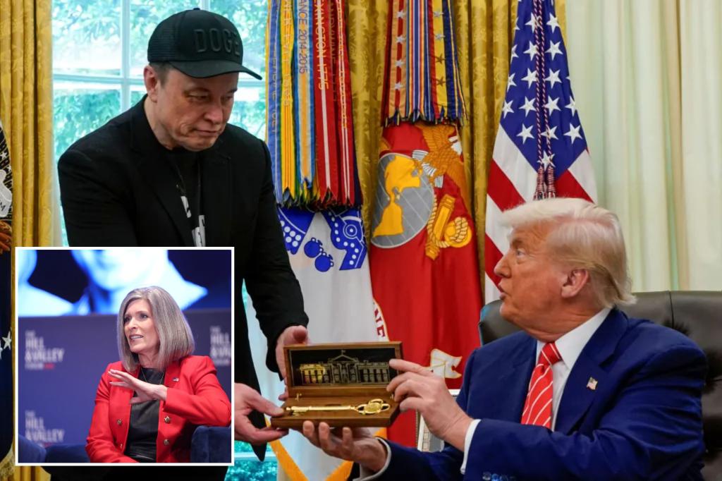 Republican senators advocate for establishing essential Musk-influenced DOGE savings at the Treasury.