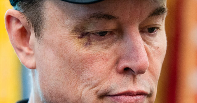 Republicans Claim Elon Musk's Criticism of the Big Beautiful Bill Mainly Concerns Electric Vehicle Credits