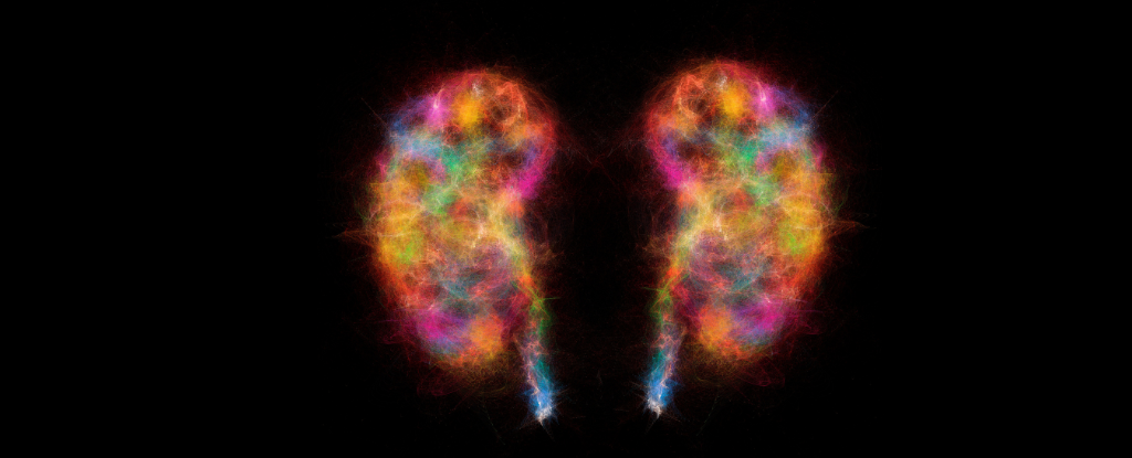 Research Suggests Parkinson's Disease May Not Begin in the Brain