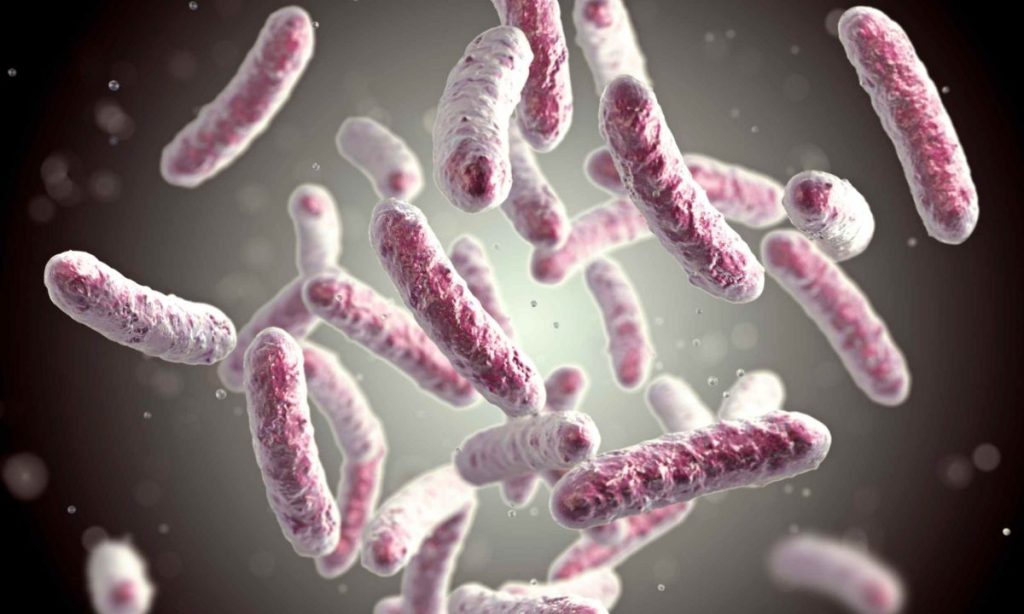 Research reveals that dairy products can have both positive and negative effects on gut health.