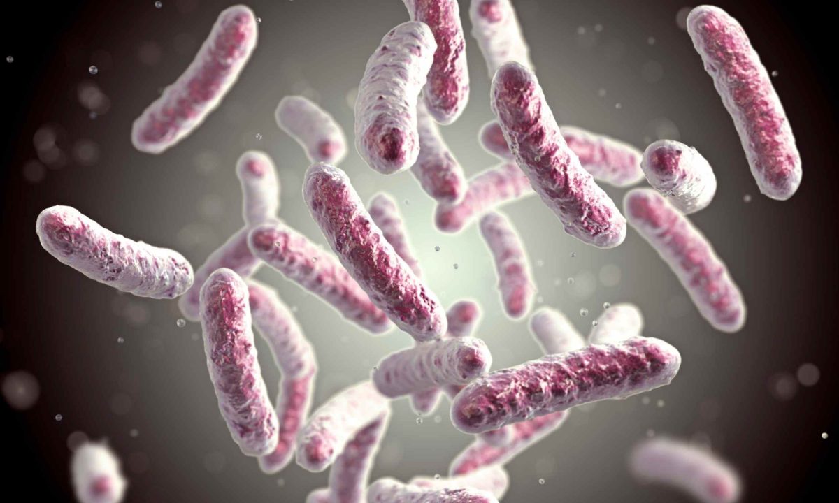 Research reveals that dairy products can have both positive and negative effects on gut health.