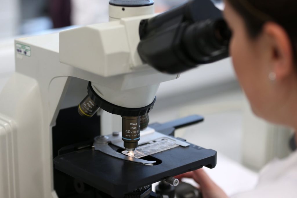 Researchers connect gut bacteria to the initial phases of Parkinson's disease