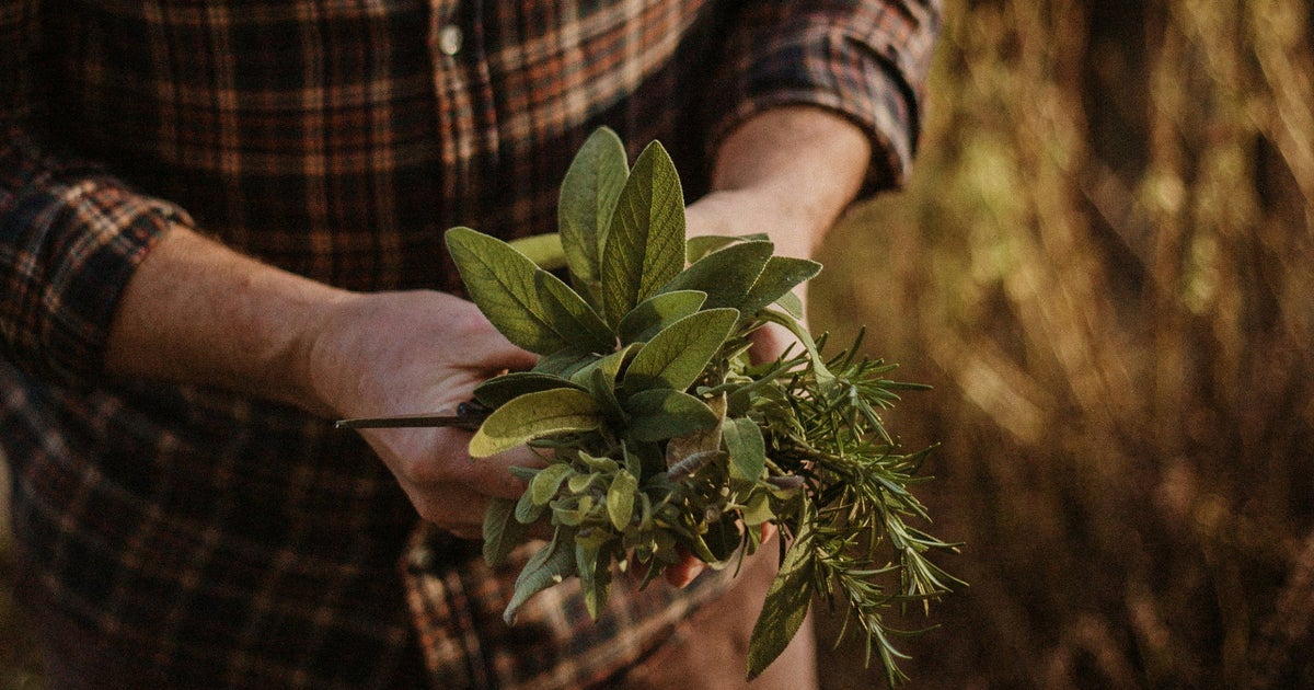 Rosemary: Advantages for Anxiety, Sleep, and Reduced Dementia Risk