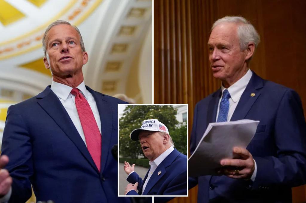 Sen. Ron Johnson criticizes the White House for its 'misleading' statements on the actual cost of Trump's 'big beautiful' bill.