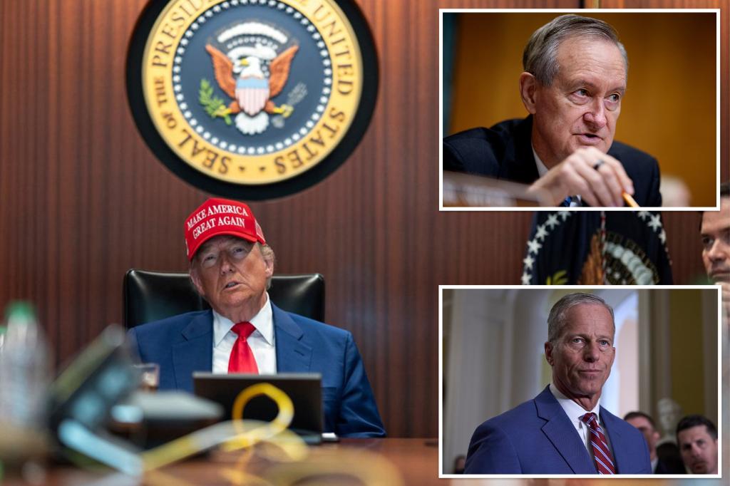 Senate parliamentarian rejects GOP's Medicaid changes in significant legislation.