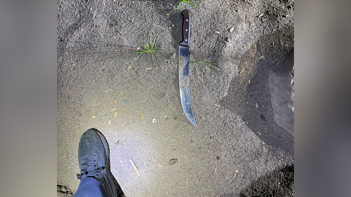 Several arrests made following a violent uprising at the Portland ICE facility involving weapons