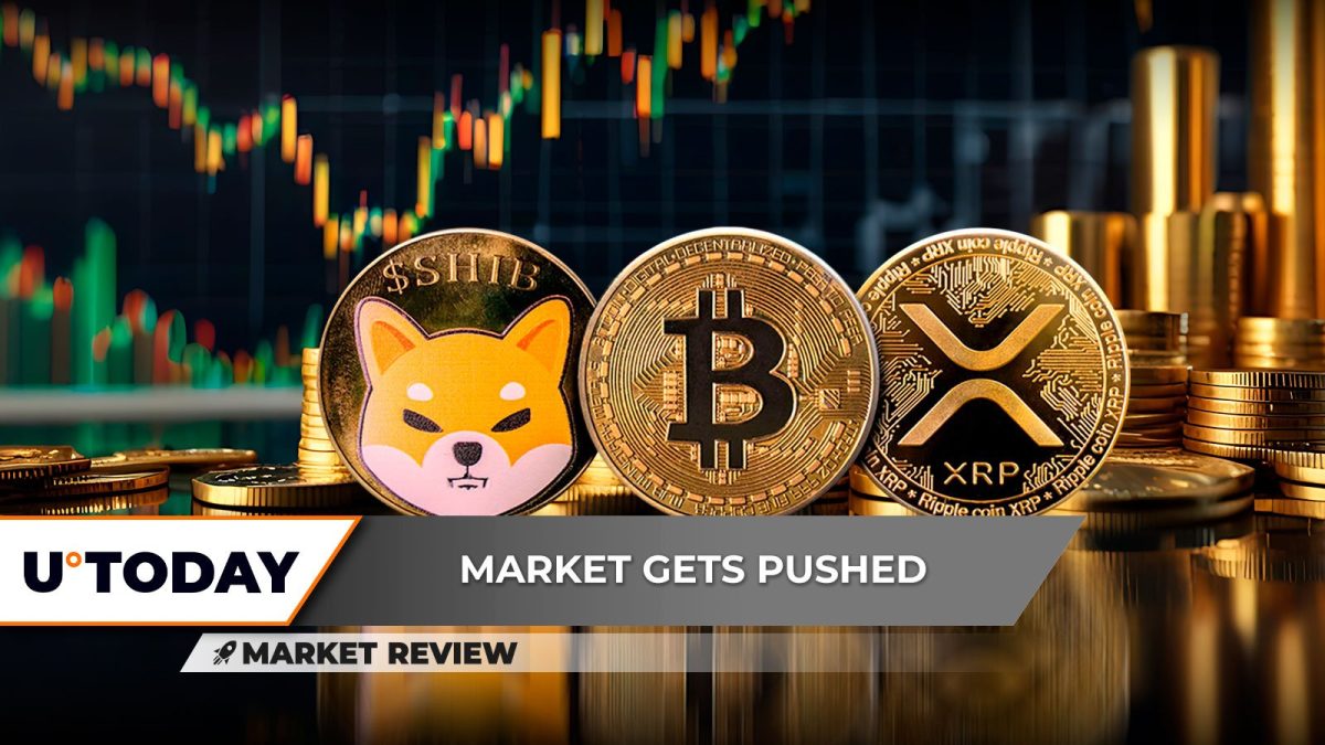 Shiba Inu (SHIB): A Major Opportunity, Prepare for Upcoming XRP Surprises, Is Bitcoin (BTC) About to Drop?