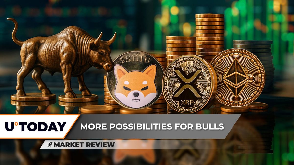 Shiba Inu (SHIB): This Took Us by Surprise, XRP is Now Prepared, Ethereum (ETH): Rapid Recovery