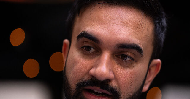 Socialist Candidate for NYC Mayor Zohran Mamdani Grew Up in a Family of Hollywood Influencers