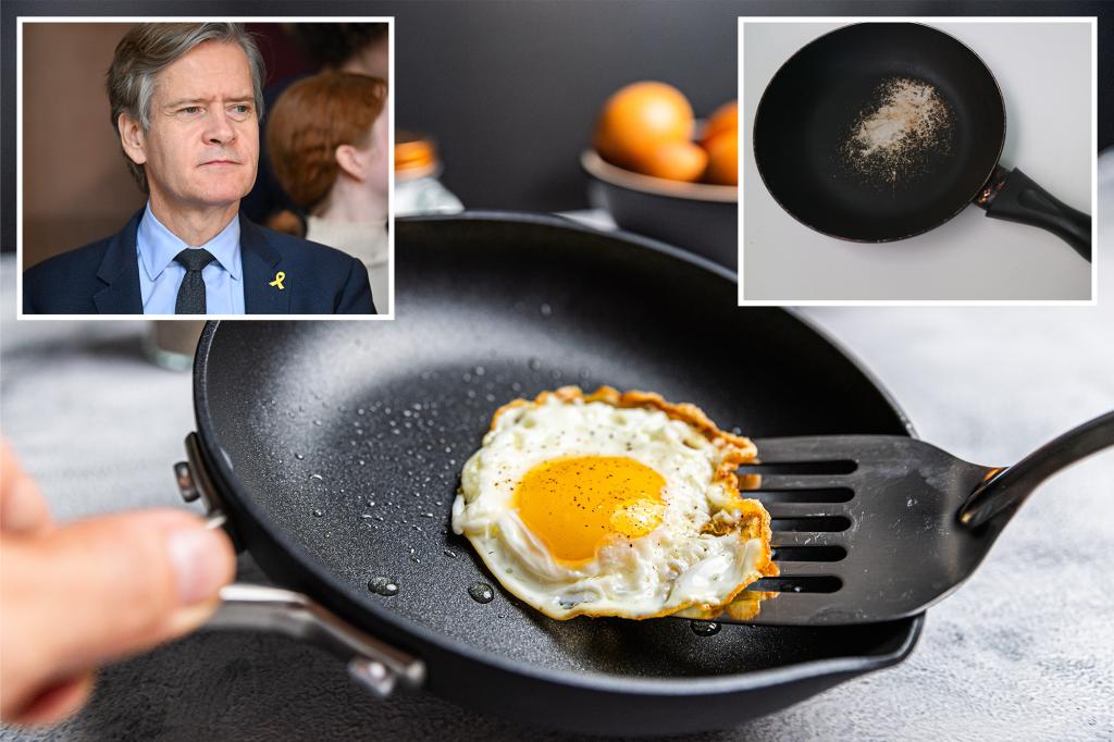 State legislators aim to prohibit nonstick cookware due to a chemical deemed safe by federal authorities.