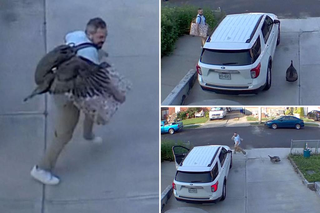 Staten Island resident startled by angry turkey in dramatic driveway encounter captured on video