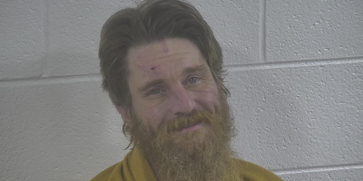 Strange news: Kentucky man taken into custody for releasing a raccoon in a store and escaping from police on a mule