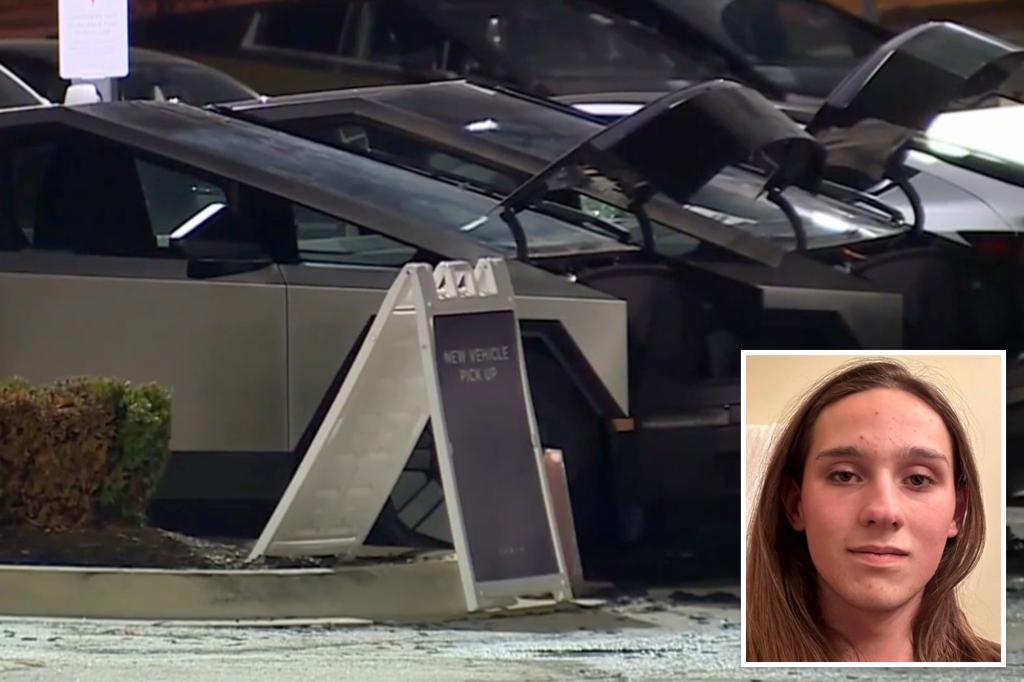Student charged with firebombing a Tesla dealership risks long prison time but can still access gender-confirming care.