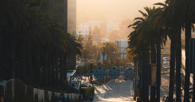 Supporters of Immigration Raise Concerns About Vacant Streets Because of ICE Actions