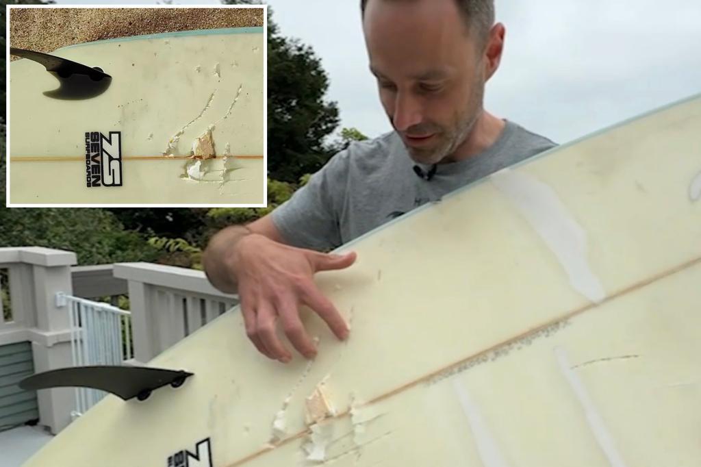 Surfer in California encounters a 10-foot shark after being thrown off his board.