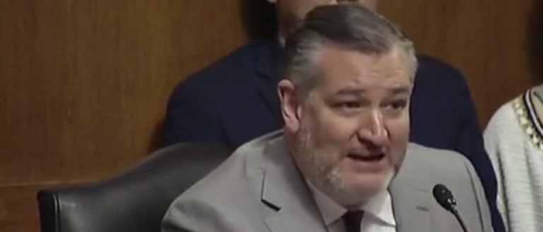 Ted Cruz Criticizes Witness Calling for Oil Executives to Be Jailed for ‘Homicide’