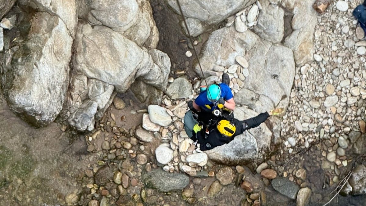 Teenair lifted to safety after snake bite in NC mountains